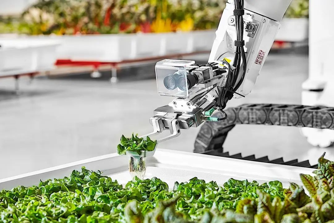 人工智能是智慧农业新风口